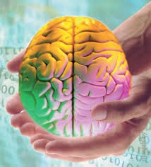 Всесторонний интеллект - Павел Григал (2015)_0.jpg